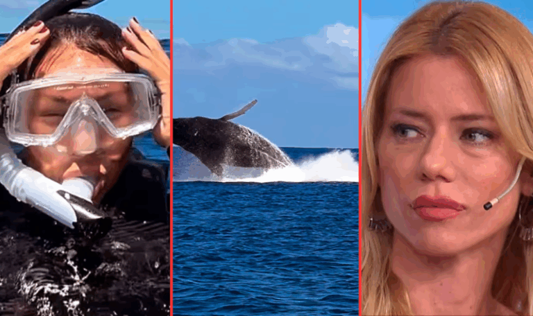 Qué hizo Nicole Neumann al ver a Pampita nadando con ballenas
