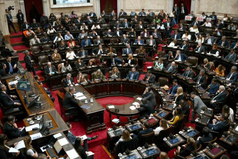 Guillermo Adorni hablando en la Cámara de Diputados acompañado por Javier Milei