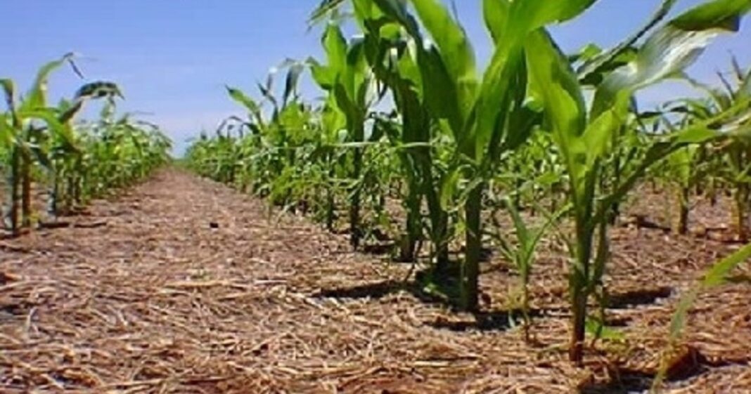 El Dr. Roberto Peiretti durante su disertación sobre agricultura sostenible en el evento organizado por Francia.