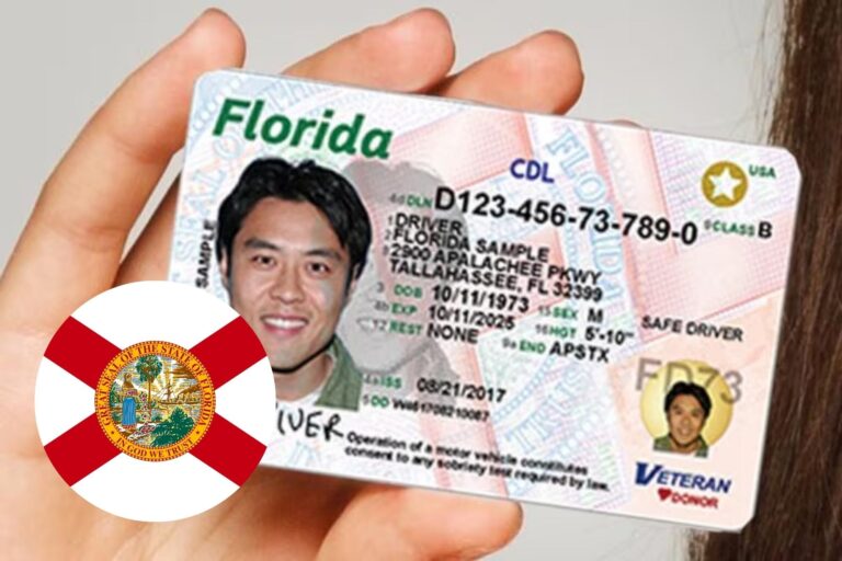 Gobernador Ron DeSantis firma ley HB 991 en Florida sobre licencias de conducir