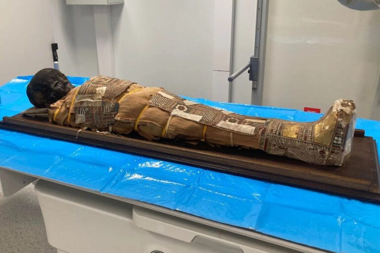 Imagen de una momia egipcia infantil con vendajes, mostrada junto a una reconstrucción digital del objeto oculto en su tórax.