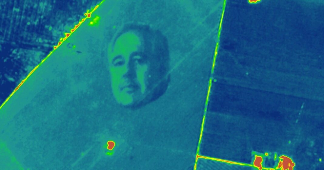 Vista aérea de un campo de maíz en Santiago del Estero que forma el rostro del ingeniero Pablo Lucci.