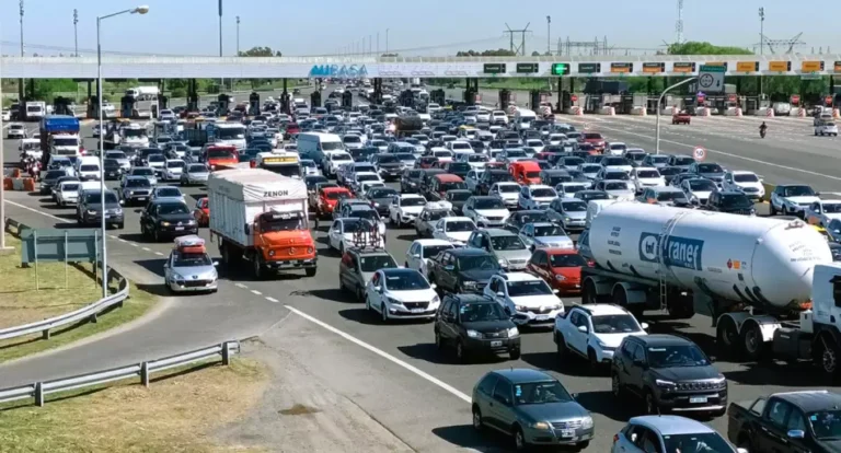 Gràfico ilustrativo de la composición y distribución del parque automotor en Argentina