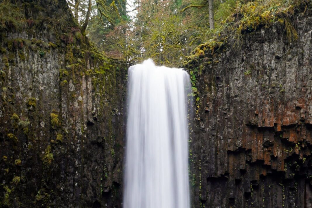 Cataratas de Abiqua, una cascada de 28 metros en Oregon, rodeada de vegetación.