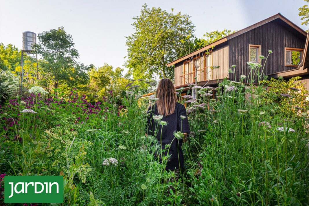Jardín natural con plantas nativas argentinas, bordes difusos y textura orgánica
