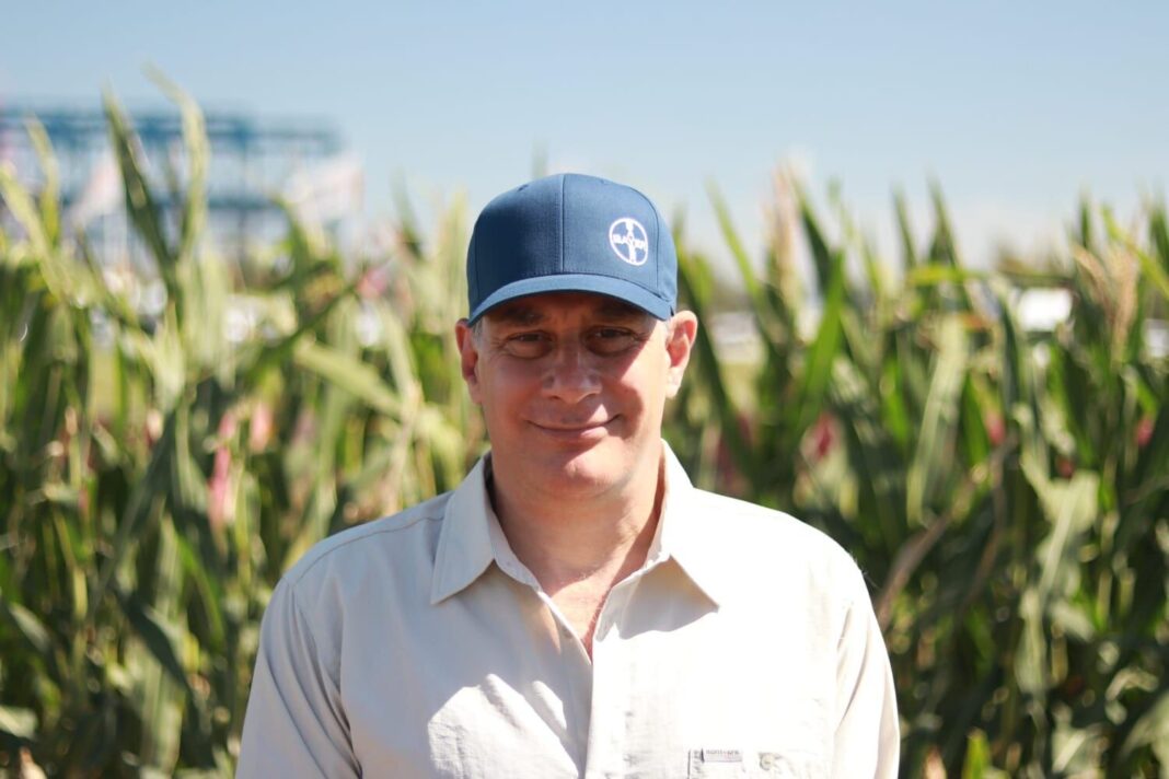 Campo de maíz con tecnología Bayer