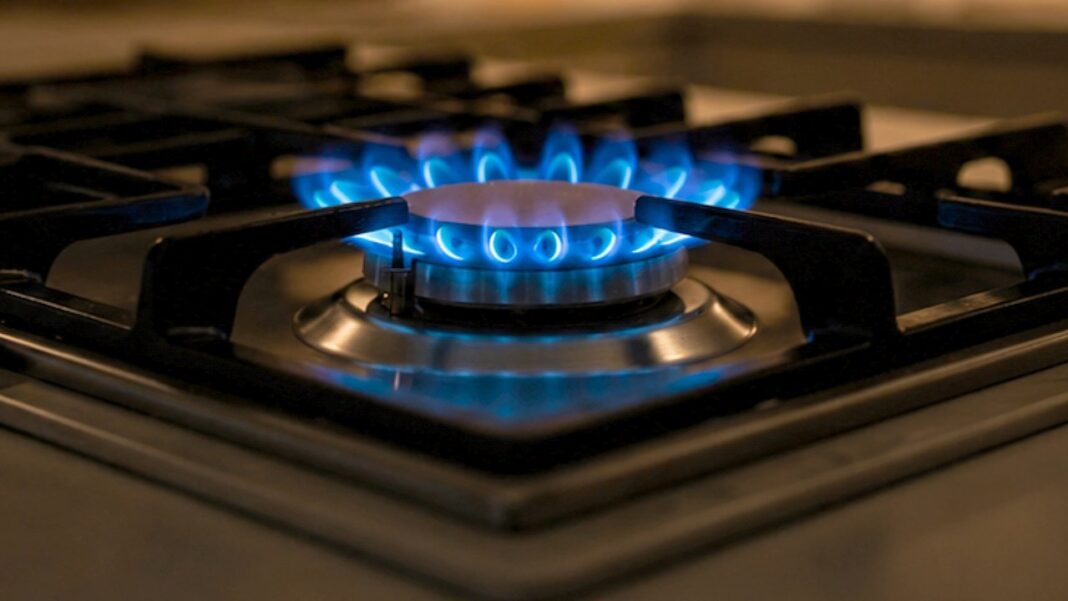 Persona revisando la aplicación Mi Argentina en un teléfono móvil para verificar el subsidio al gas