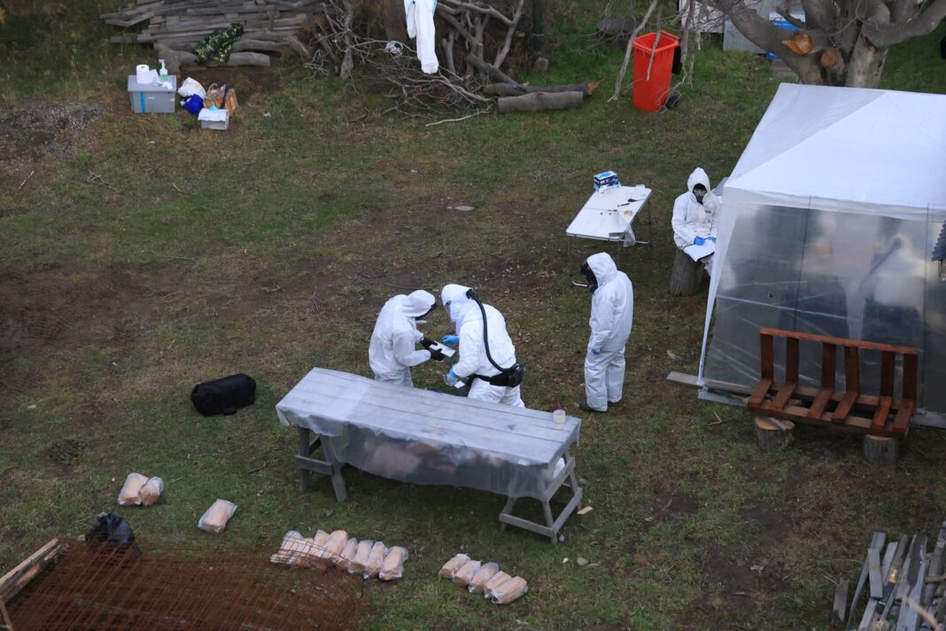 Trampas para roedores en zona periférica de Ushuaia durante operativo del Malbrán