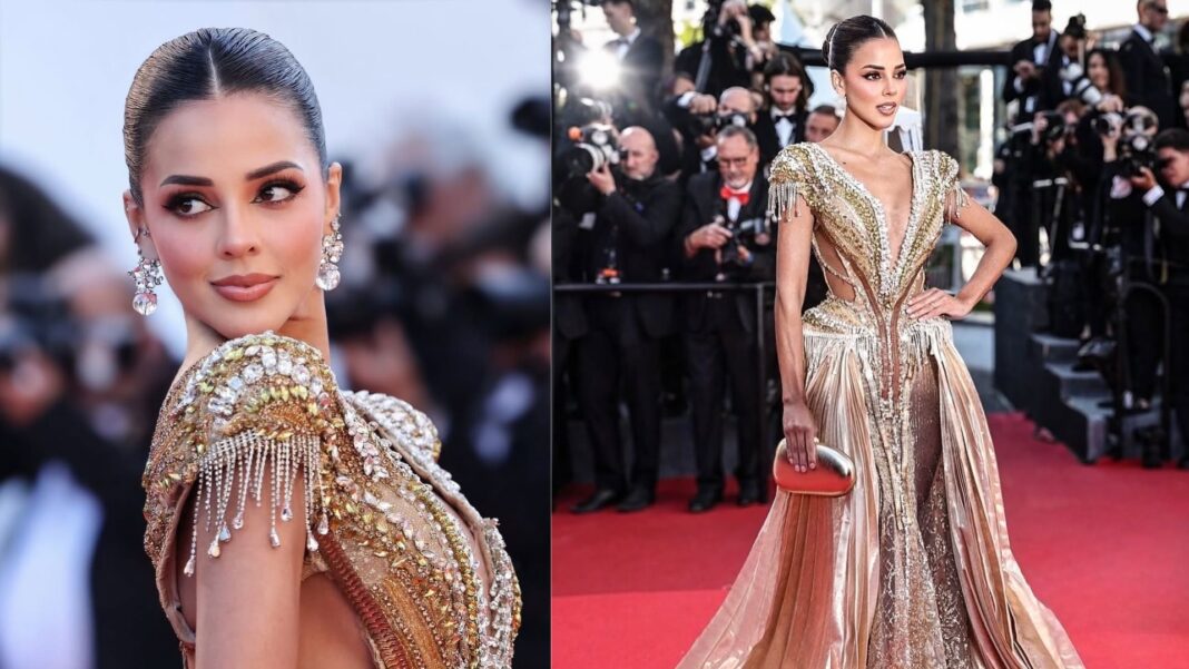 Luciana Fuster en la alfombra roja del Festival de Cannes con vestido de diseñador