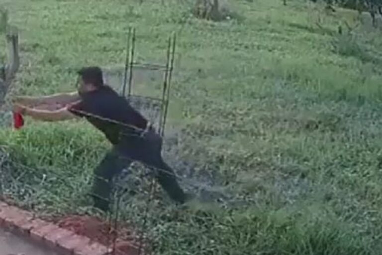 Cámara de seguridad capta a un hombre robando ropa interior en un patio de San Pedro