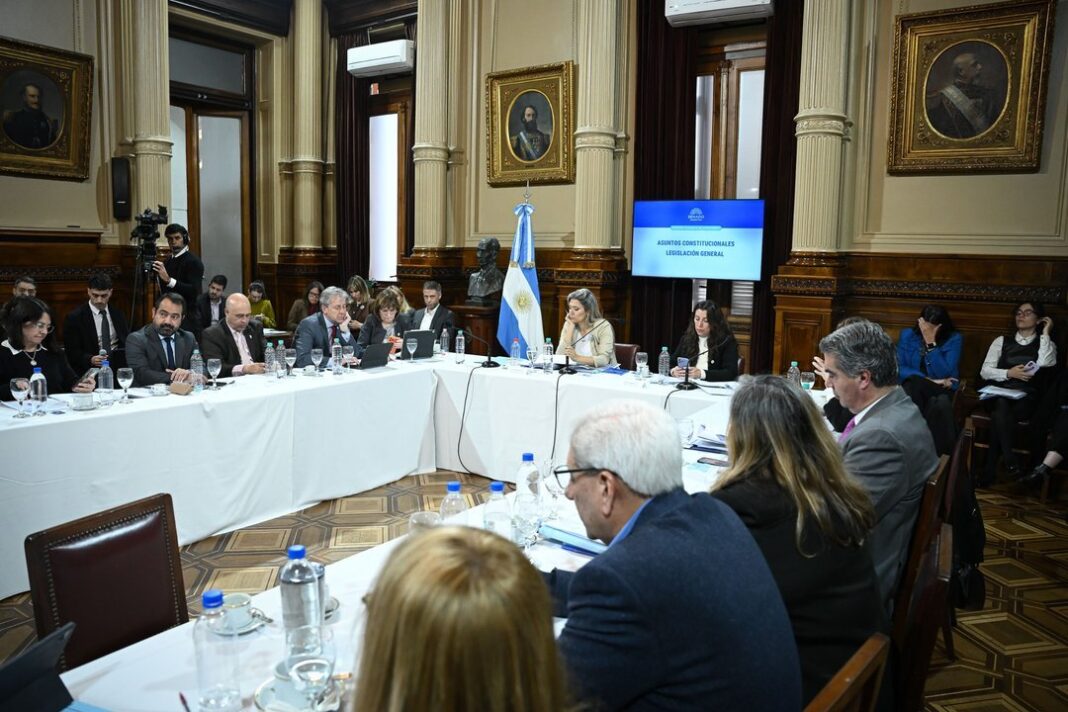 Senado de la Nación Argentina, debate sobre reforma de salud mental
