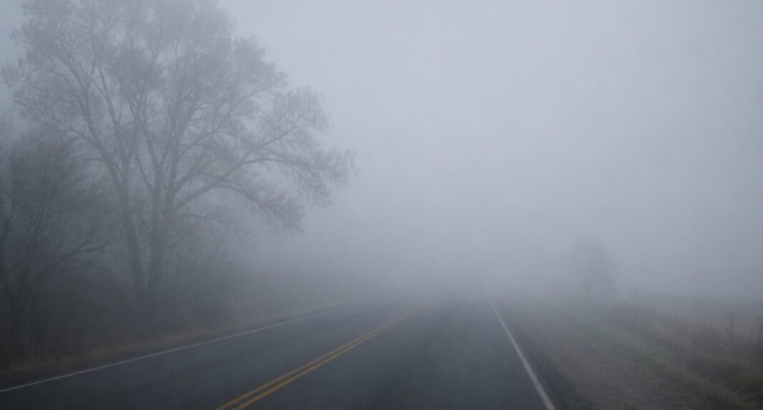 Niebla densa en el AMBA con visibilidad reducida