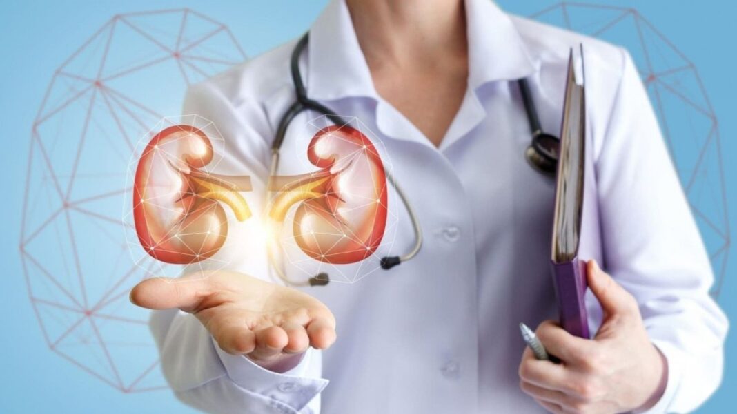 Gráfico sobre frecuencia del cáncer de riñón en Argentina