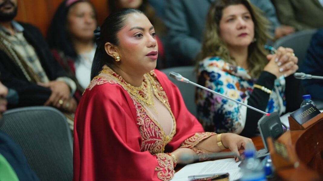Senadora Martha Peralta en sesión del Congreso