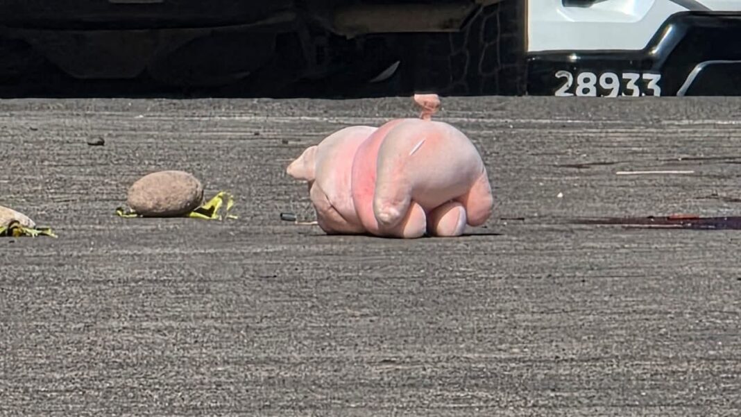 Cerdito de peluche rosa junto a evidencia en escena del crimen