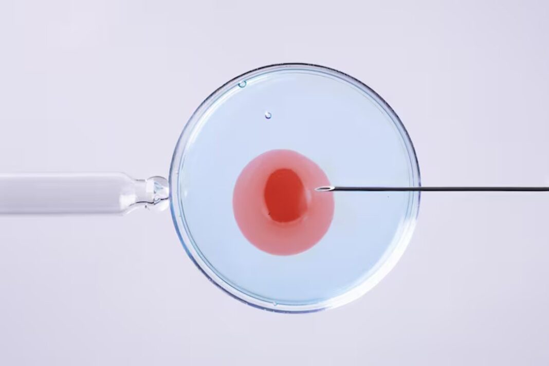 Especialista explicando diferencias entre FIV e ICSI en laboratorio de reproducción asistida