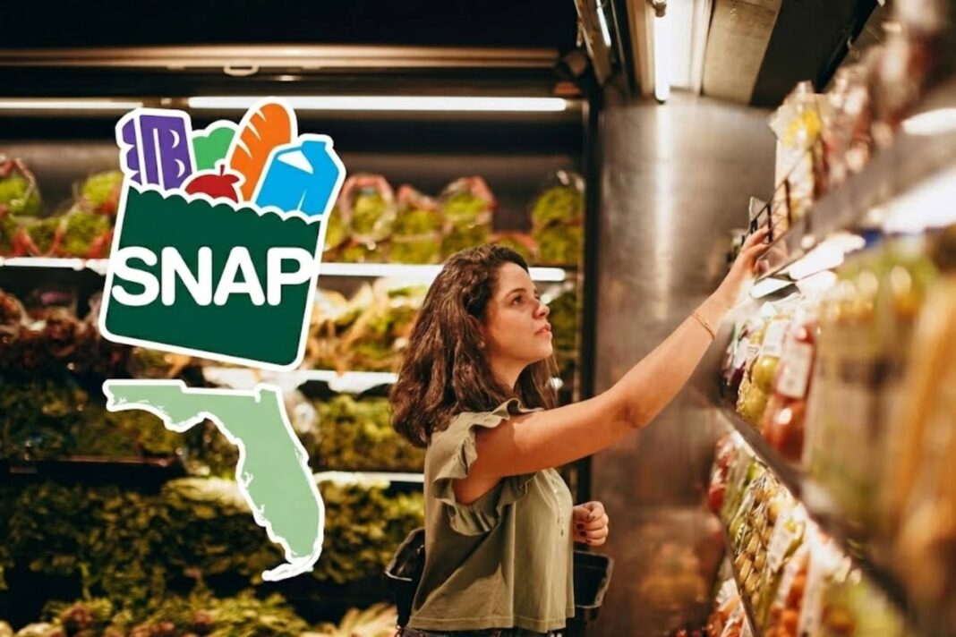 Mapa de Estados Unidos con estados destacados según tasa de error en SNAP