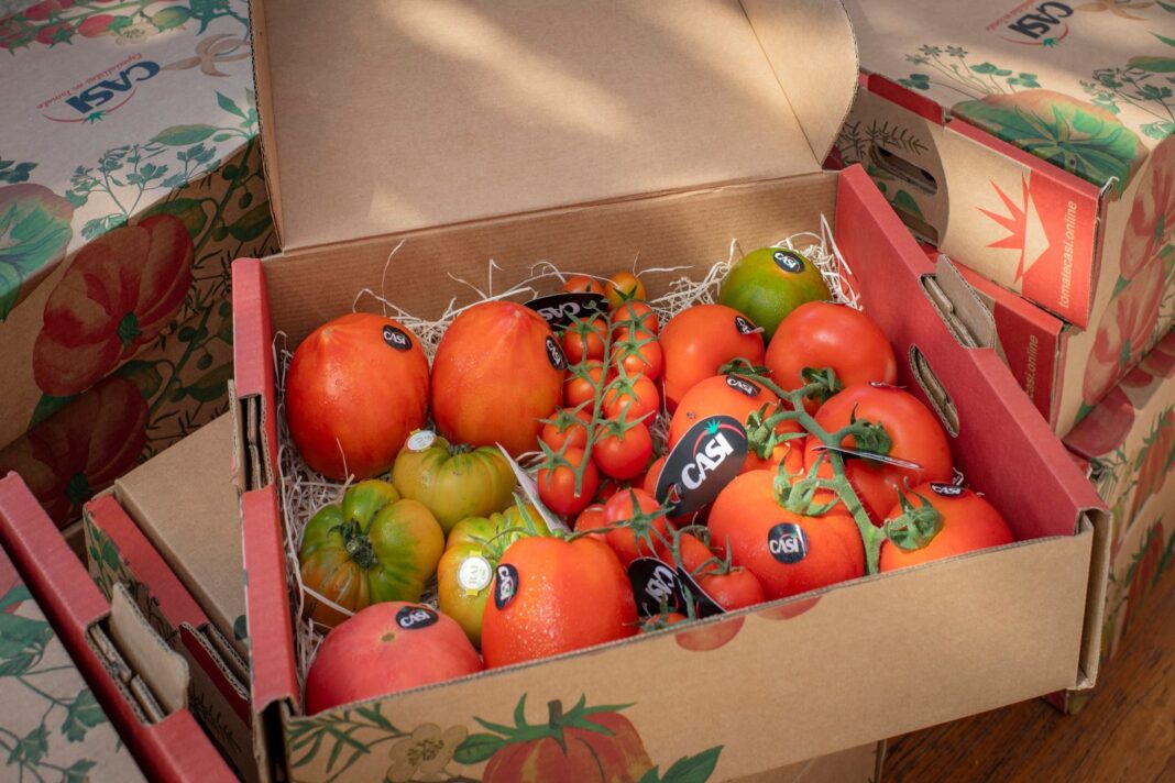 Invernaderos de tomate en Almería