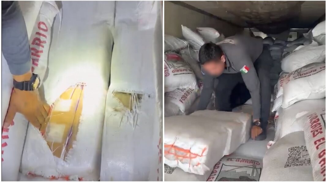 Paquetes de metanfetamina asegurados en Sonora
