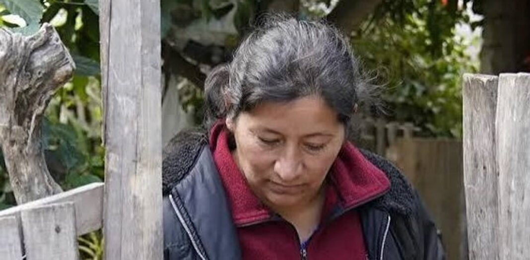 Fiscal Tamara Pourcel durante declaraciones en el juicio por la desaparición de Loan Peña
