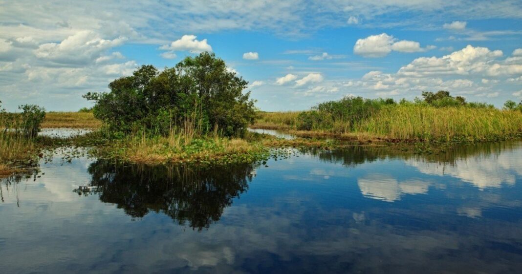 Manantial natural en Florida con agua cristalina