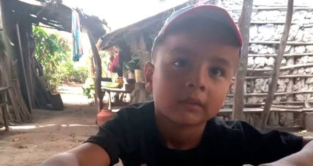 Imagen de la zona del naranjal donde fue visto Loan Peña por última vez