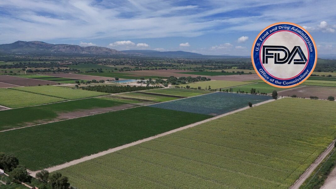 Imagen de una granja de ensaladas en México