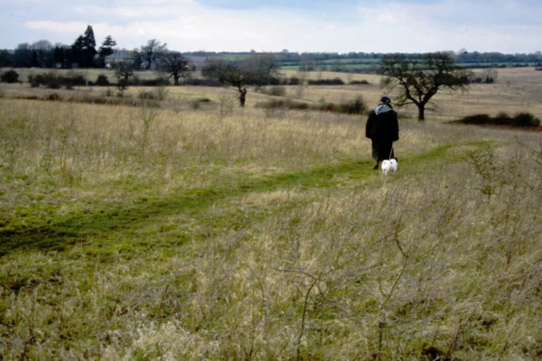 Campo de Strawberry Hill convertido en reserva ecológica en Bedfordshire