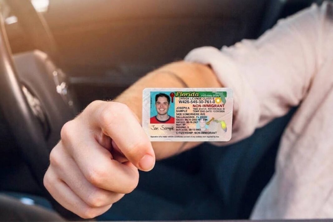 Conductor en Florida revisando su licencia de conducir