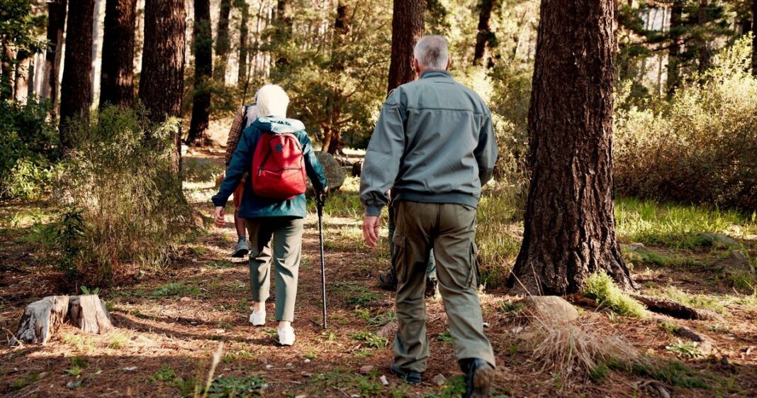 Grupo de personas mayores caminando por un sendero natural en el Parque Pereyra Iraola