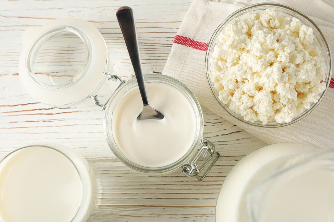 Queso cottage y yogur griego en recipientes