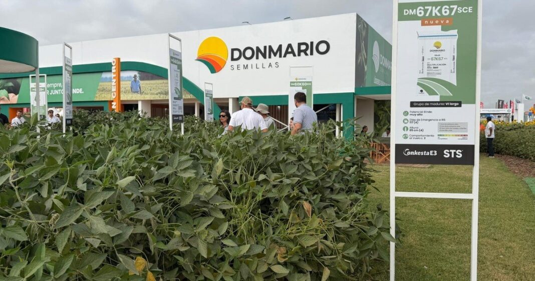 Cultivo de soja en un campo argentino