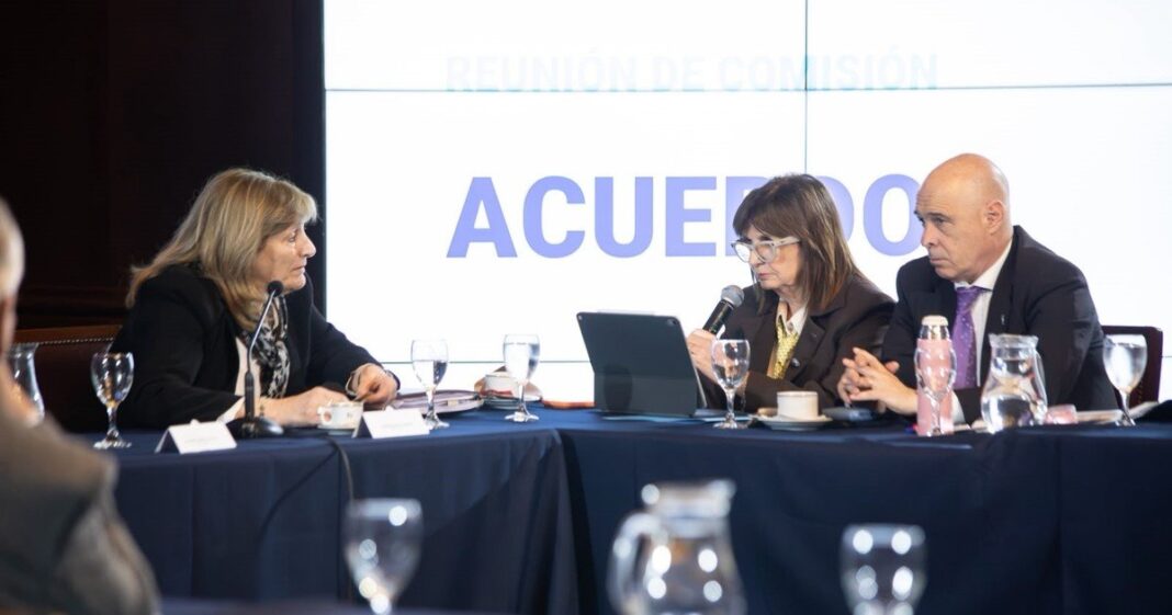 Patricia Bullrich en el Senado