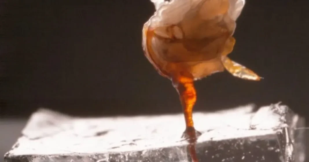 Primer plano de un aguijón de abeja inyectando veneno en una superficie transparente
