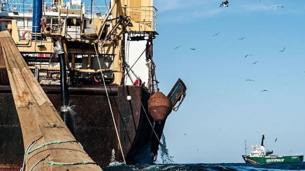 Feria Internacional de Productos del Mar Congelados CONXEMAR en Vigo, España