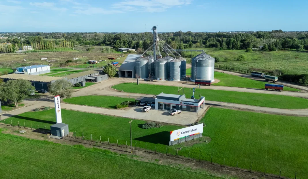 Campos agrícolas y ganaderos del Grupo Faro Verde en la Argentina