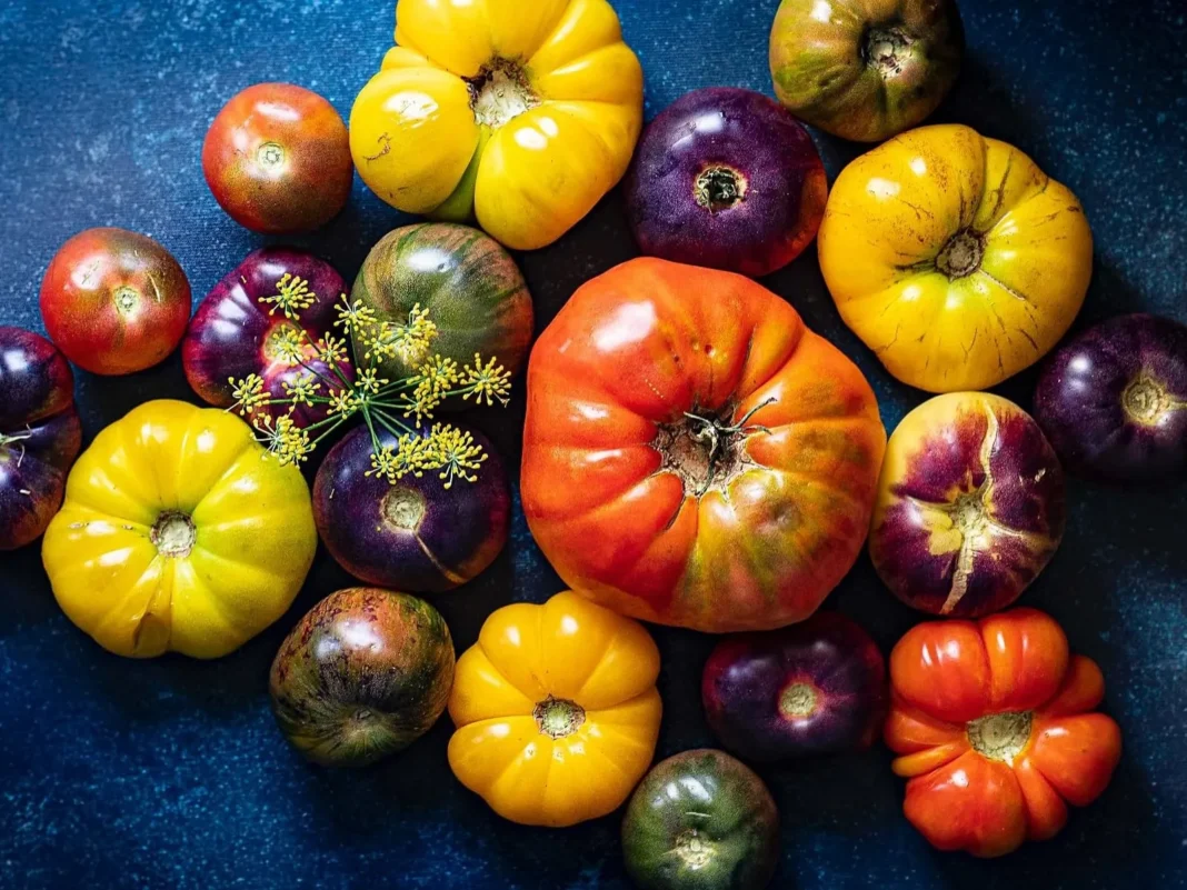 Luciano Kunis en su quinta de tomates