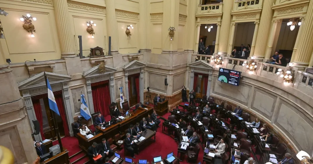 Sesión en el Senado de la Nación durante el debate de la reforma de la Ley de Salud Mental