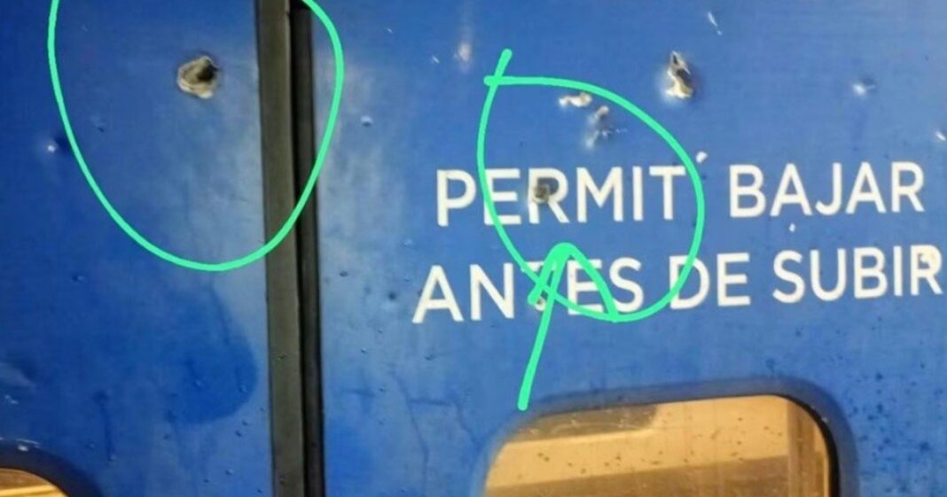 Formación del Tren San Martín en la estación José C. Paz